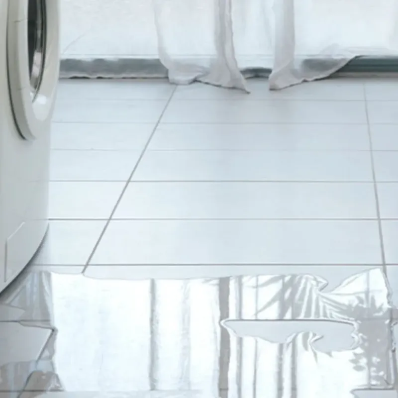 Appliance Leak Cleanup in West Chicago, IL