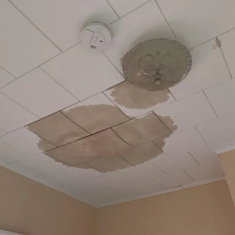 Ceiling Water Damage Repair in West Chicago, IL