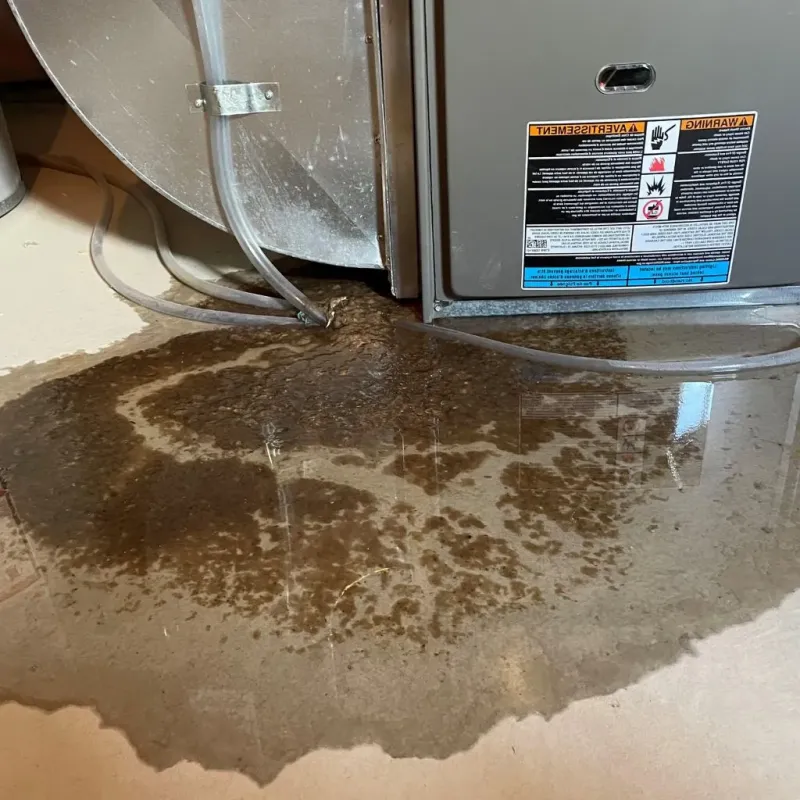 Pipe Burst and Leak Restoration in West Chicago, IL
